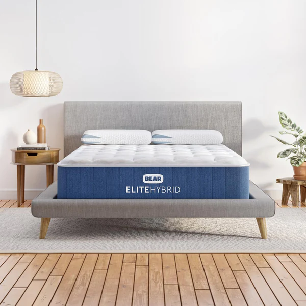 Bear | Elite Hybrid - Celliant Cover - Image 6